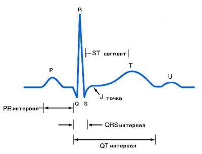 Злокачественная опухоль сердца11