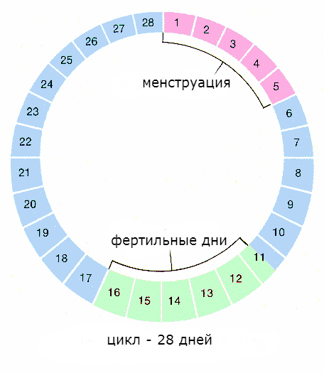 Беременность после лапароскопии13