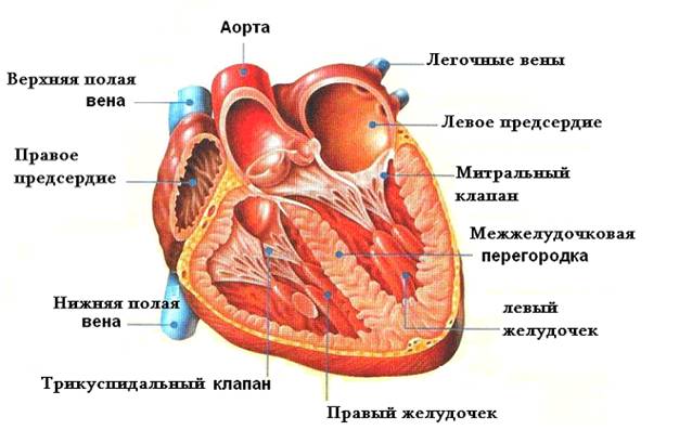 Операция Норвуда 14