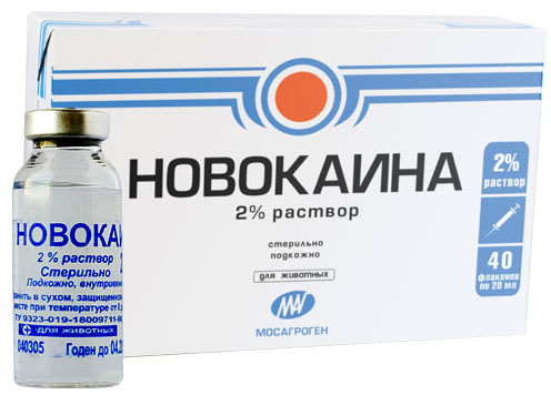 Камни мочеиспускательного канала у детей: лечение14