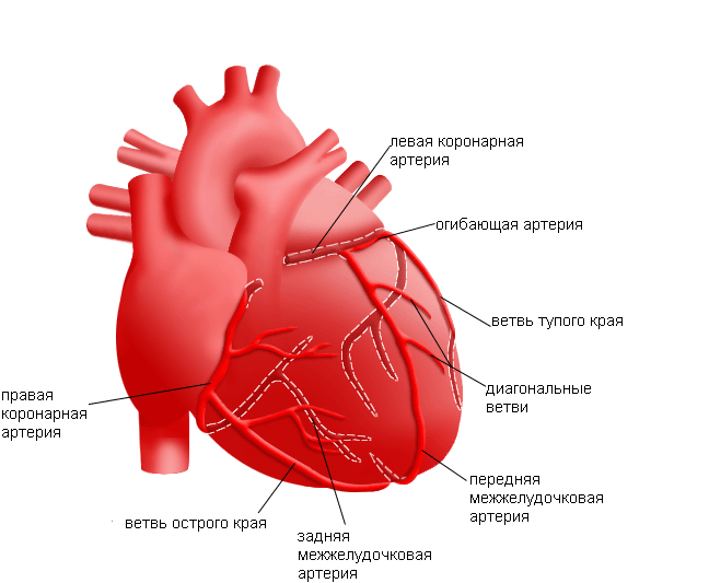 Операция Норвуда 15