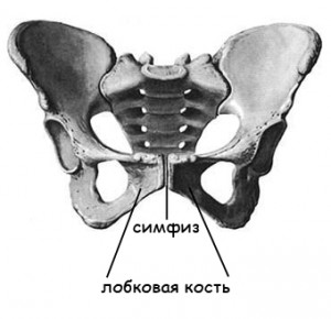 Хронический гонорейный уретрит19