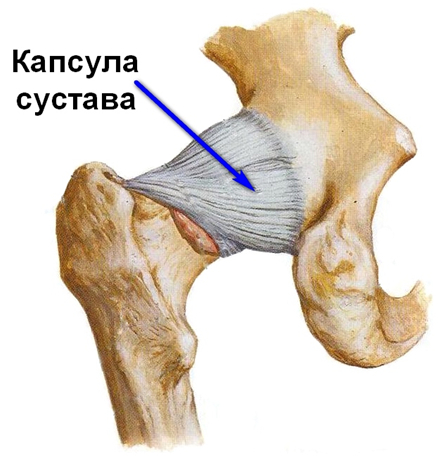 Болят тазобедренные суставы, что делать?1