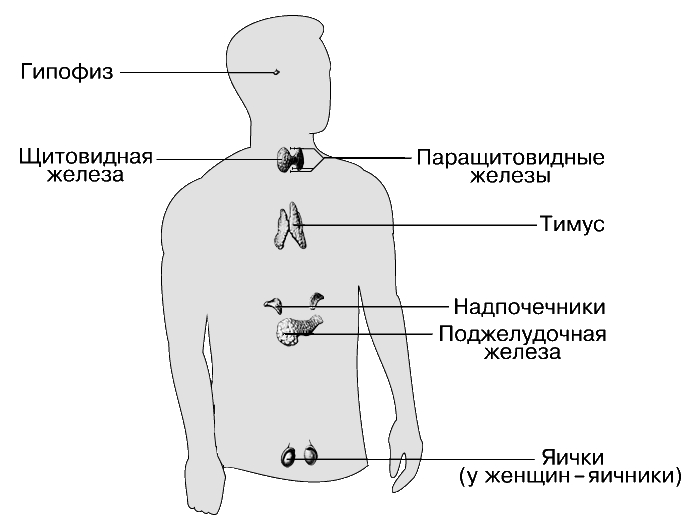 Симптомы заболевания кожи. Общие положения1