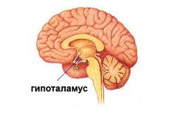 Ароматерапия при патологических пристрастиях1