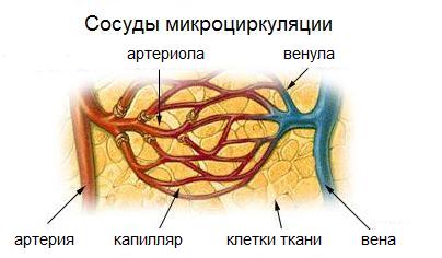 Острый и хронический пиелонефрит. Классификация патологии20