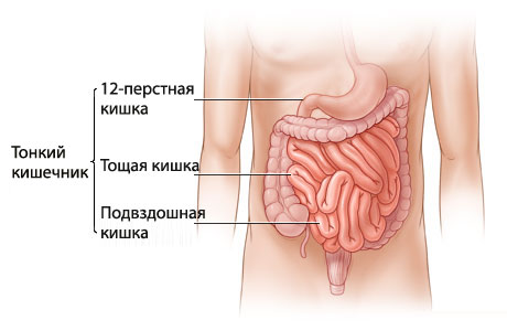 Энтероколит у детей: симптомы, лечение2
