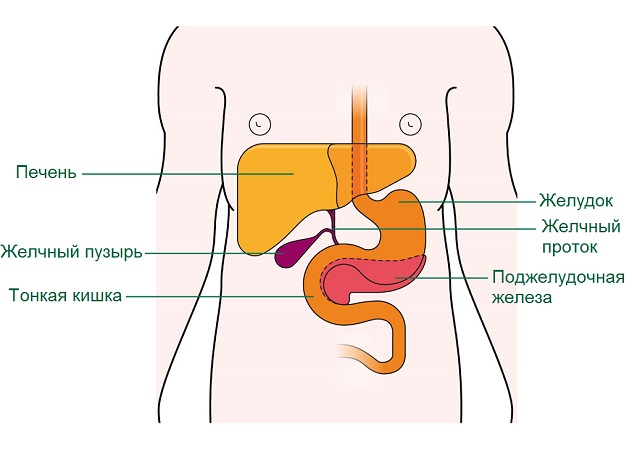 Киста поджелудочной железы: симптомы, лечение, операция, фото2