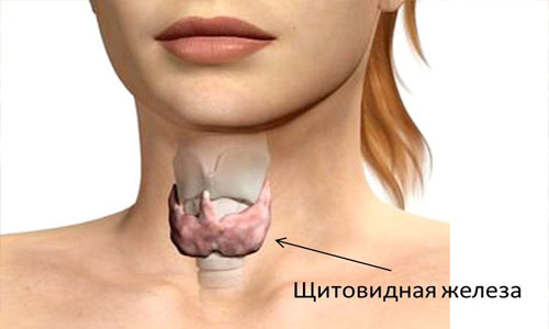 Гормональный сбой щитовидной железы: причины, лечение, лекарственные препараты2