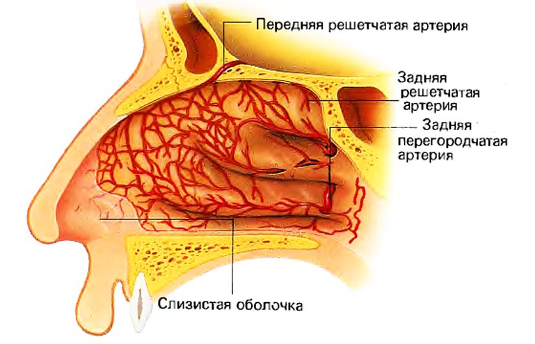 Ароматерапия и женское здоровье2