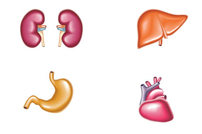 Как снизить холестерин в крови в домашних условиях, народными средствами3