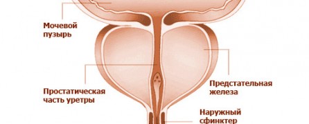 Уретрит у мужчин: симптомы, лечение3