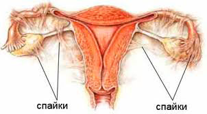 Почему после секса болит живот?3