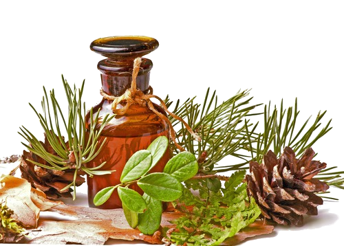 Ингаляции с эфирными маслами:  эффект от лечения, зечем нужно?3