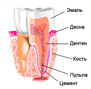 Альтернативное лечение. Применение альтернативной терапии в стоматологии3