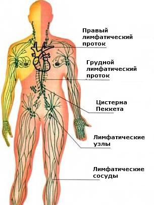 Лимфостаз нижних конечностей: лечение, симптомы, причины, фото3
