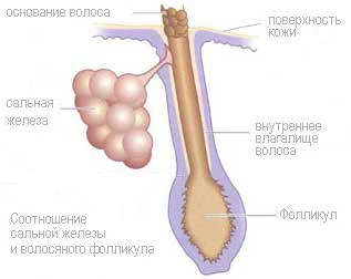 Программа борьбы с розацеа4