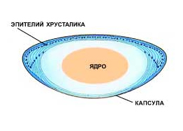 Электромагнитное, лазерное излучение, ультразвук4