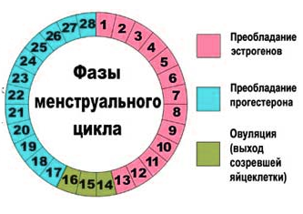 Боль в молочной железе: причины, симптомы, лечение4