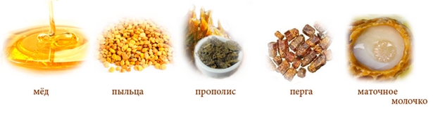 Можно ли прополисом вылечить травмы кости? 5