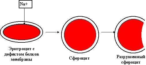 Гемолитическая болезнь новорожденных: симптомы, лечение5