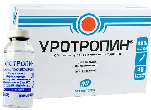 Гематурия у детей: причины, симптомы, лечение5