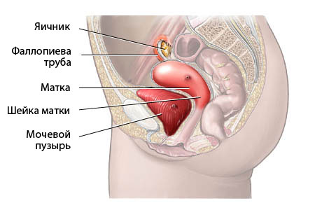Кольпит при беременности: симптомы, лечение5