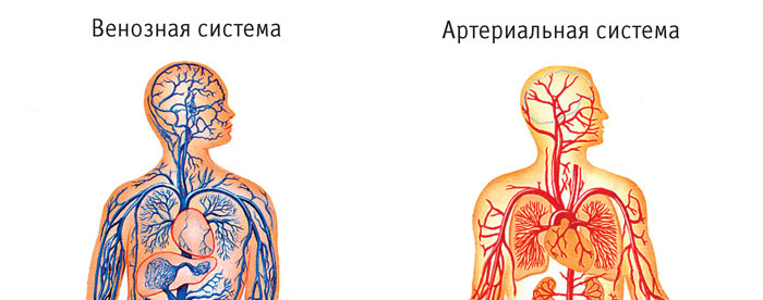 Синдром гипоплазии левых отделов сердца: диагностика, лечение5