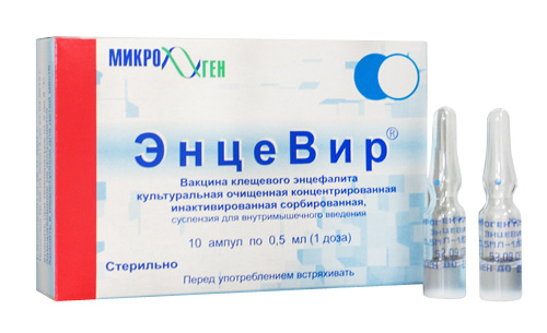Что делать, если укусил клещ5
