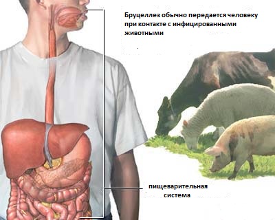 Субфебрильная температура: причины, лечение, у ребенка, у женщин5