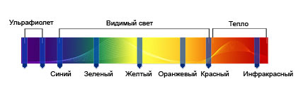 Когда экзема появилась у вас впервые?6