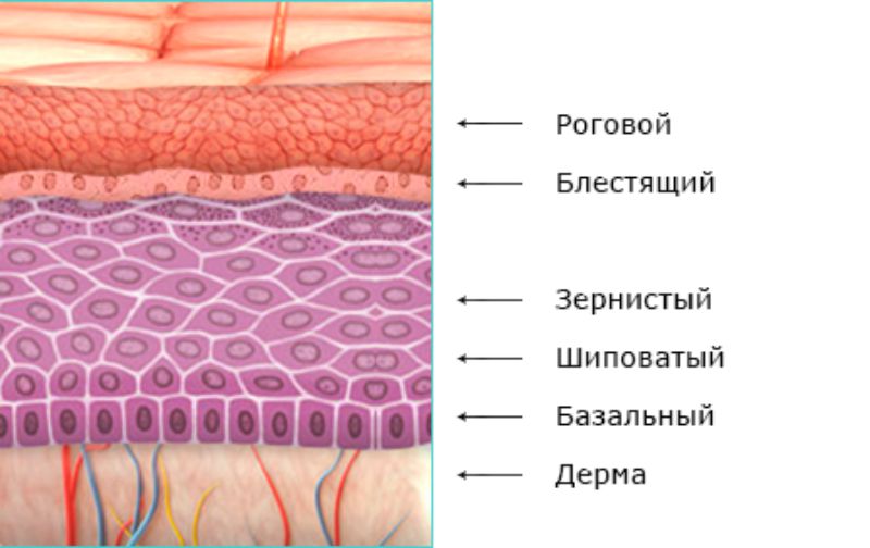 Меланодермия: причины, лечение, показания, отзывы, фото6