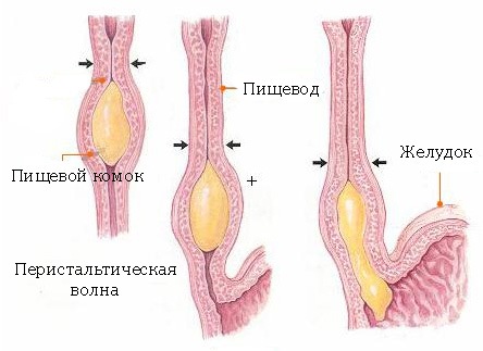 Ожог, обморожение, рожа у детей: первая помощь, лечение6