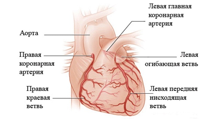 Клапанный стеноз аорты: диагностика, лечение, рекомендации врачей6