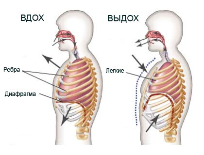 Правильное дыхание: техника7
