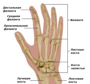 Сифилис раннего детского возраста. Поздний врожденный сифилис7