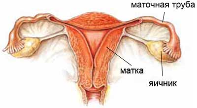 Киста яичника: симптомы, лечение, операция7
