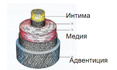 Транспозиция магистральных артерий: показания, последствия, фото7