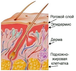 Ретиноиды и старение кожи: типы старения, показания, цена, отзывы8