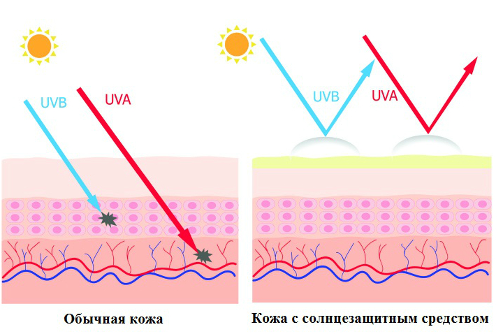Морщинистая кожа и старение: профилактика, лечение, препараты, цена8