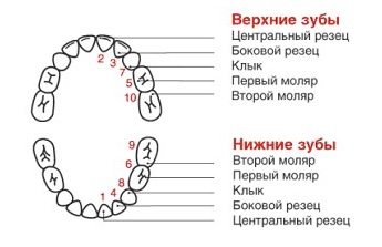 Эндодонтическое лечение зубов у детей8