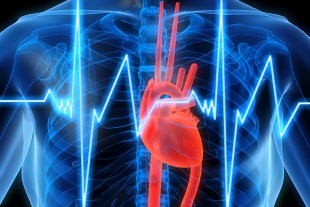 Кардиология Кардиология