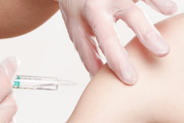 Прививка Прививка