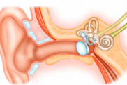 Почему болят уши внутри