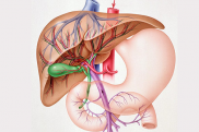 Печеночная недостаточность